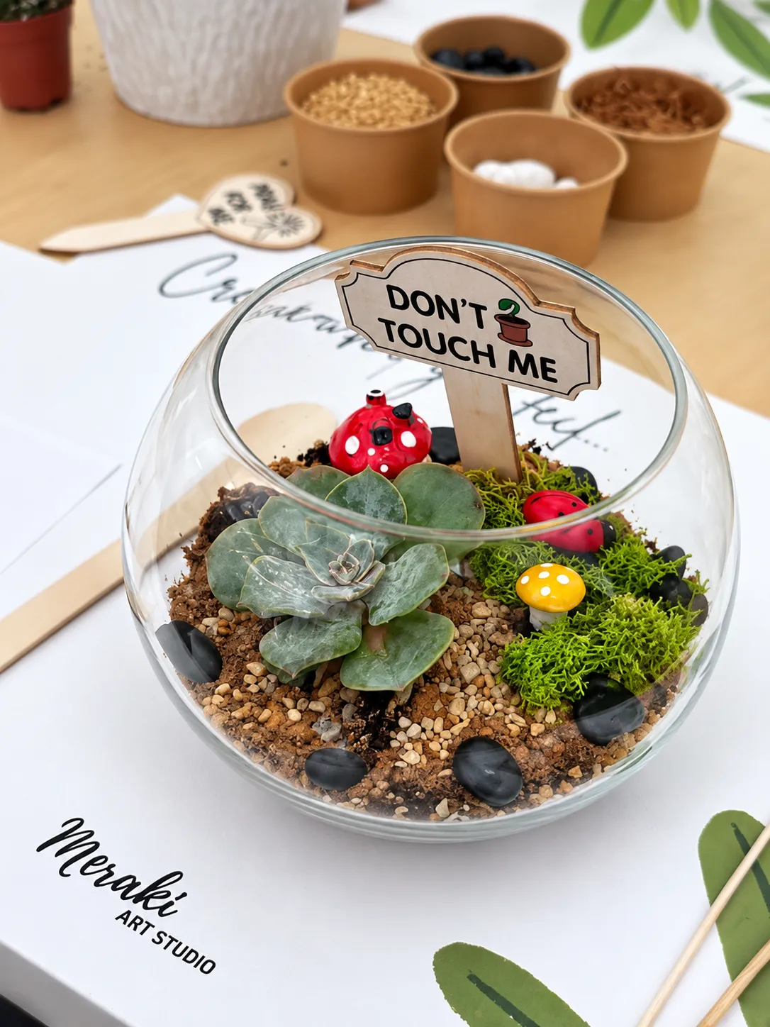 Terrarium & Planting